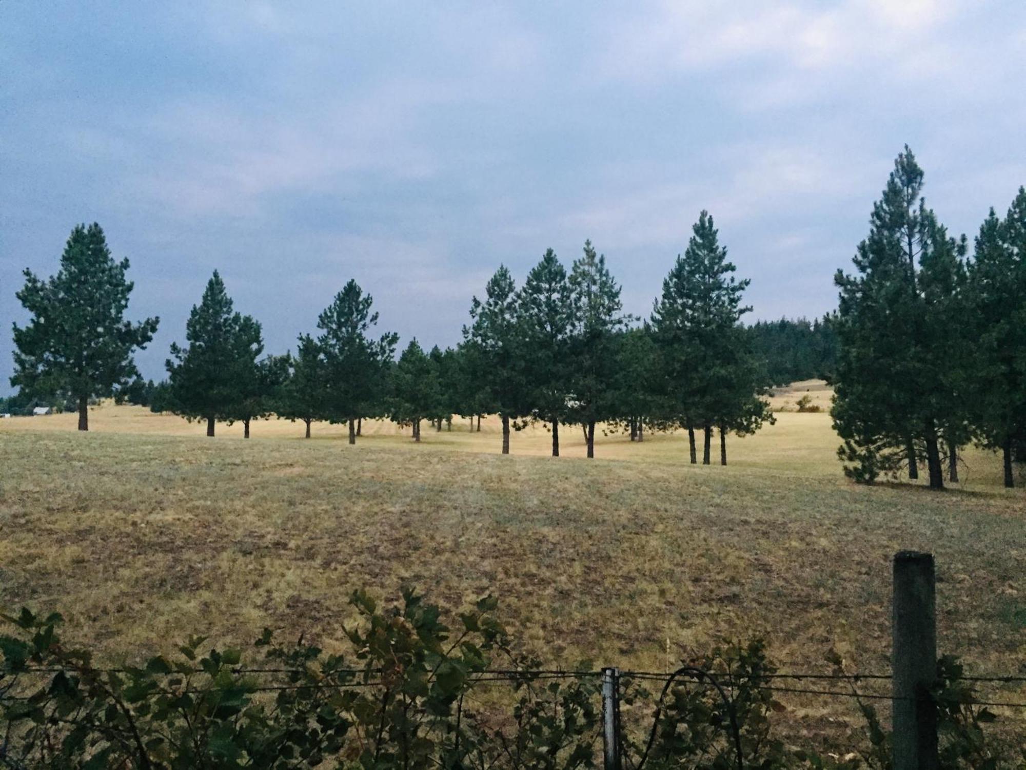 The Silverwood Lodge Athol Екстер'єр фото